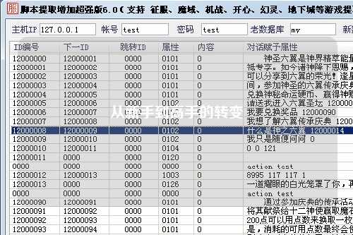 从新手到高手的转变